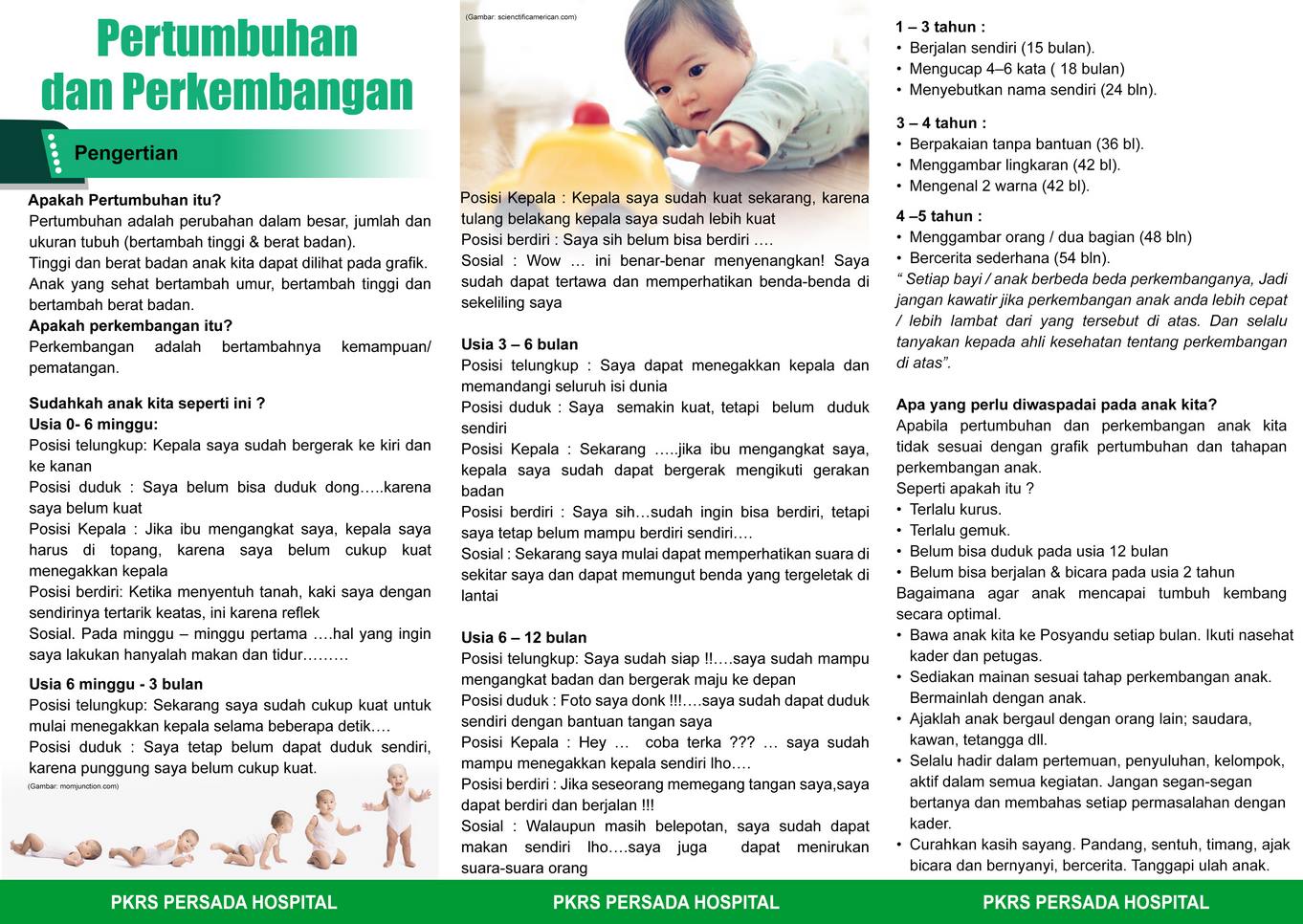 Pertumbuhan dan Perkembangan